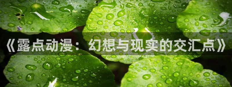 51动漫网官方免费：《露点动漫：幻想与现实的交汇点》