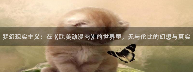 51动漫阅读：梦幻现实主义：在《耽美动漫肉》的世界里，无与伦比的幻想与真实