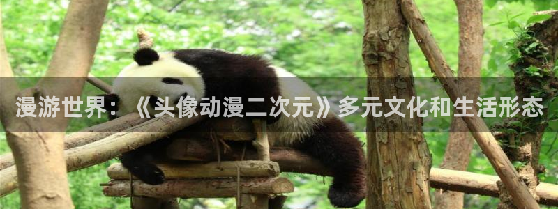 51动漫男男动漫：漫游世界：《头像动漫二次元》多元文化和生活形态