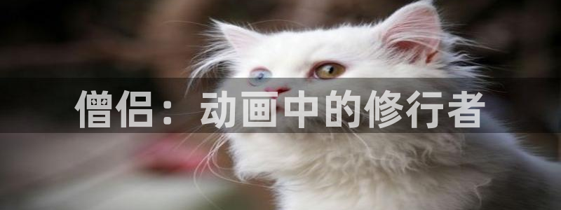 51动漫禁漫成人入口：僧侣：动画中的修行者