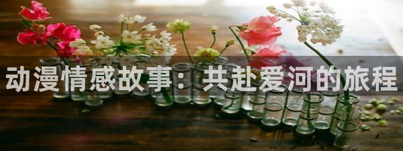 51动漫苹果ios安装：动漫情感故事：共赴爱河的旅程