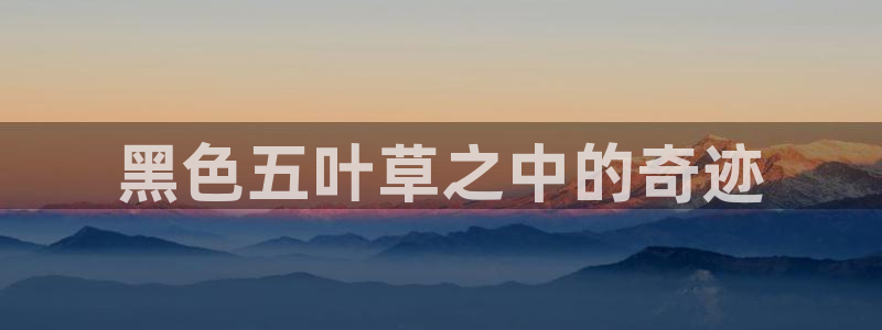 51动漫在线网站免费版：黑色五叶草之中的奇迹