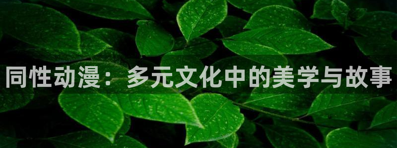 www.51动漫：同性动漫：多元文化中的美学与故事